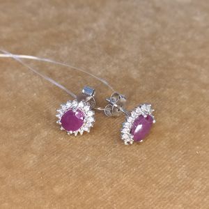 Пуссеты ВИВА