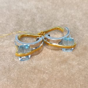 Серьги C02970